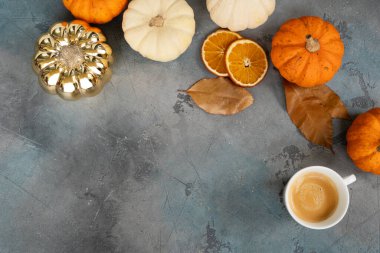 Beş günlük balkabağı hasadı, üst manzara