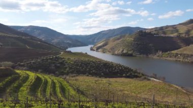 Şarap bağları, Portekiz, Unesco dünya mirası sitesi olan Douro şarap vadisi