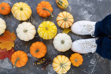 Halloween or thansgiving concept, top view of orange and white pumpkins with someone legs