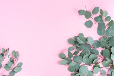 düğün ya da anneler günü arka planı, yeşil okaliptüs pembe arkaplan üzerinde fotokopi alanı olan yapraklar