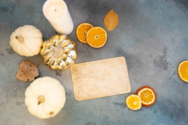 Şükran Günü balkabağı hasadı, fotokopi alanı ile üst manzara