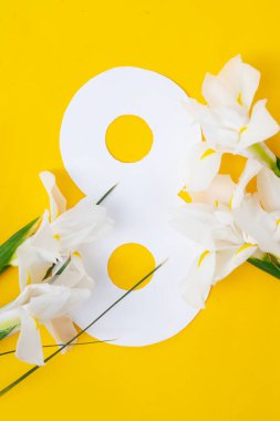 Sarı çiçekler açarım narin bahar arka planında, 8 Mart bayram arka planında, mimoz uluslararası kadınlar için geleneksel çiçeklerdir 8 Mart 'ta