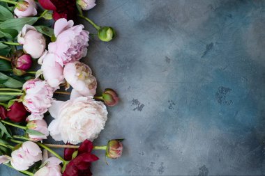 Koyu gri masada taze şakayık çiçekleri, kopyalama alanı