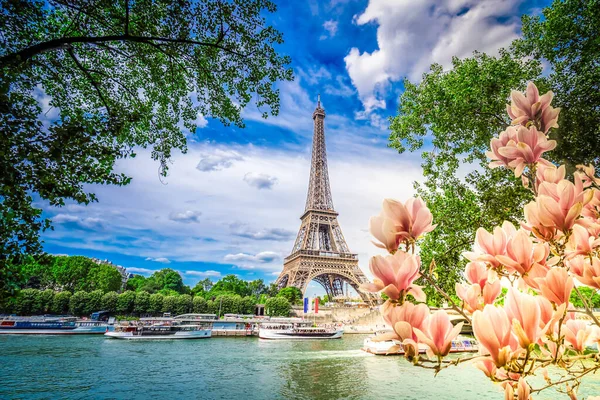 Berühmte Wahrzeichen Von Paris Eiffelturm Mit Magnolienblüten Und Grünem Baum lizenzfreie Stockfotos