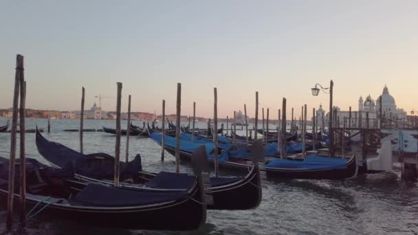 San Giorgio Adası Gondollar Venedik Talya Ile Görünümünü — Stok video