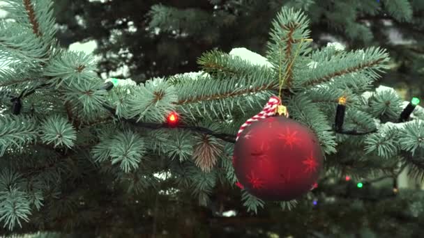 Різдвяний Подарунок Встановлення Дробу Прикрашеною Ялинкою Відкритому Повітрі — стокове відео