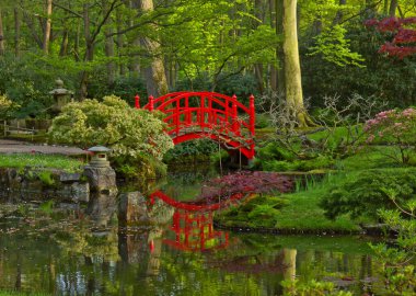 Japon bahçe kırmızı köprü, den haag, Hollanda