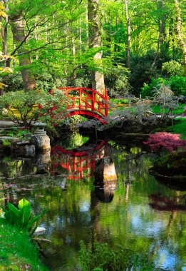 kırmızı köprü Lahey Japon bahçe çiçek açan ağaçlar ile suya yansıtan