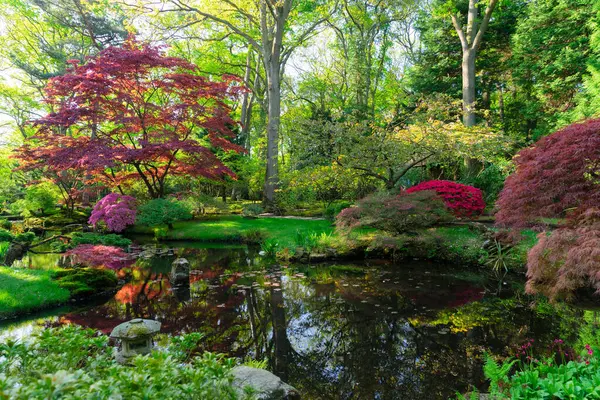 流れる春とオランダ ハーグの日本庭園で緑の草 ストック写真