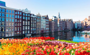 Amsterdam manzaralı Damrak kanalı tipik Hollanda bahar laleleri, Hollanda, Hollanda.