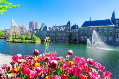 Binnenhof - lale, Lahey, Hollanda büyüyen ile Hollanda Parlamentosu