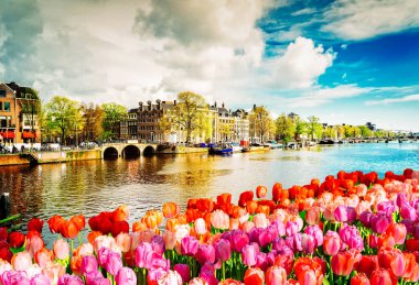 dolgu ile bahar lale Amsterdam, Hollanda, retro Amstel kanalının tonda