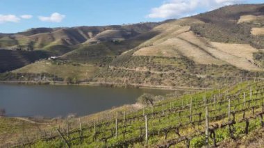 Şarap bağları, Portekiz, Unesco dünya mirası sitesi olan Douro şarap vadisi