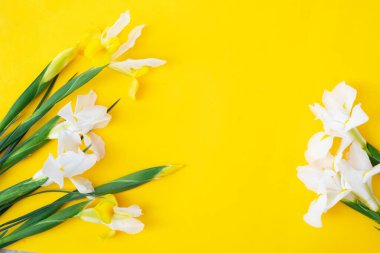 Çiçekler parlak sarı bahar arka planında, 8 Mart bayram arka planında