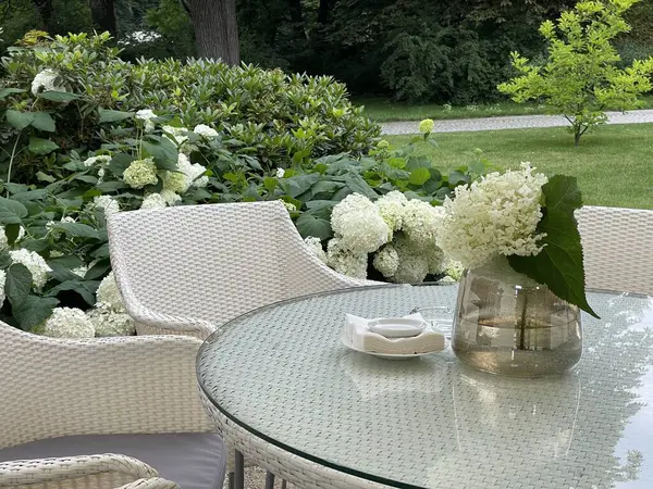 Garden furniture close up, white chairs with table