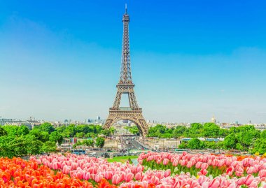 Eyfel Kulesi ile taze Lale çiçek, Paris, Fransa