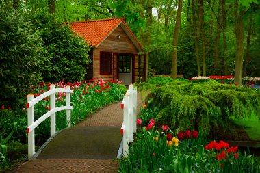 Taş kaldırımlı yürüyüş yolu bahar resmi çiçek bahçesinde dolambaçlı, Hollanda