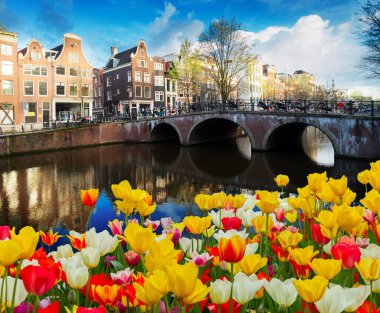 Hollanda 'da laleli, Amsterdam manzaralı, tarihi evlerin cepheleri