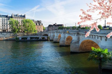 Köprü Pont Neuf ve Seine nehri Cite adasının eski evleri, Paris sokakları, Fransa