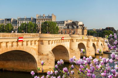 Güneşli yaz gününde Pont Neuf, Paris, Fransa