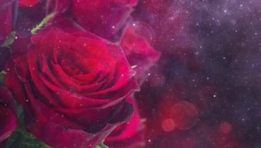 Sevgililer Günü kırmızı gülleri koyu kahverengi arka planda, kalplerle