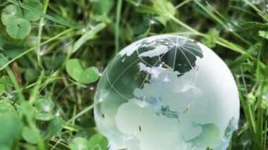 Toprak koruma ve sürdürülebilir ekoloji geliştirme kavramı. Karahindiba tohumları, Avrupa ve Afrika tarafıyla birlikte cam gezegen Dünya 'nın üzerine düşüyor.