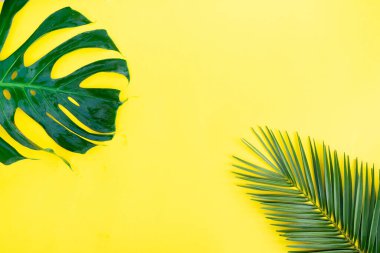 Kopya alanı sarı zemin üzerine tropikal taze yaprakları ile sahne yaz düz göklere