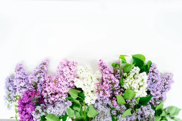 Lilac flowers border over white background with copy space