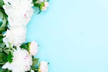 Taze beyaz şakayık çiçek açan çiçekler sınırında mavi arka plan