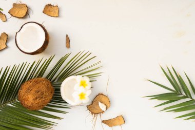 Palmiye yaprakları ve kopya alanı ahşap zemin üzerine Hindistan cevizi ile frangipani çiçekler ile sahne yaz düz göklere