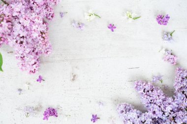 Kopya alanı ile beyaz ahşap arka plan üzerinde çiçekler çerçevesi ile taze Lila dallar, düz üst görünüm çiçek çerçevesi yatıyordu