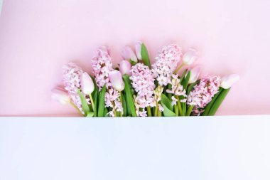 Paskalya festivali sahnesi. Taze laleler ve sümbül çiçekleri pembe arka planda, kopyalama alanı.