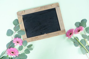 düğün ya da anneler günü arka plan yeşili okaliptüs nane yeşili arkaplan ve fotokopi alanı