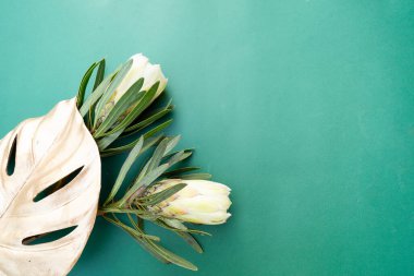 Yeşil arkaplan üzerinde tropikal yapraklar ve çiçekler, kopya alanı olan yaz arkaplanı