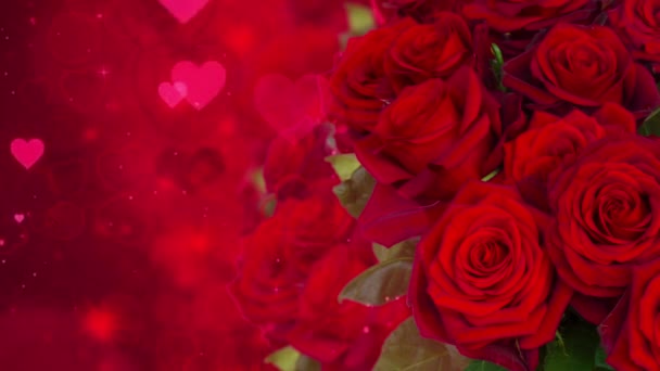 Valentines Day Scarlet Red Roses Dark Bokeh Background Hearts — Stock Video