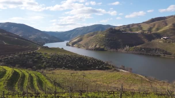 Dourodalen Med Vinodlingar Portugal Unescos Världsarv — Stockvideo