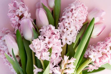 Paskalya sahnesi. Pembe arka planda taze laleler ve sümbül çiçekleri. Yakın plan.