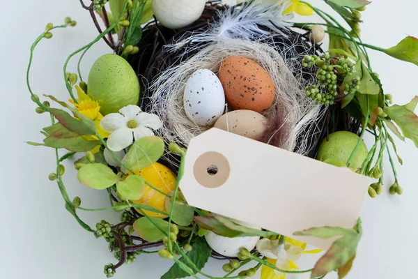 Açık yeşil zemin üzerinde renkli yumurtaların olduğu Paskalya sahnesi ve tebrik için kağıt etiket.