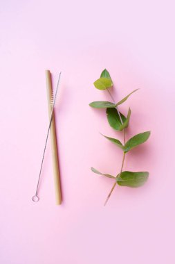 Sıfır atık kavramı, çevre dostu bitki bazlı saman içme