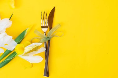 İris sarı ve beyaz çiçekleri yumuşak bahar arka planında, 8 Mart bayram arka planında, mimoz geleneksel Paskalya ve Anneler Günü çiçekleridir.