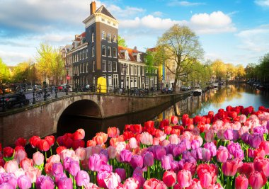 Lale, Amstardam, Hollanda, retro tonda ile kanal ve ayna yansımaları ile Hollandalı sahne