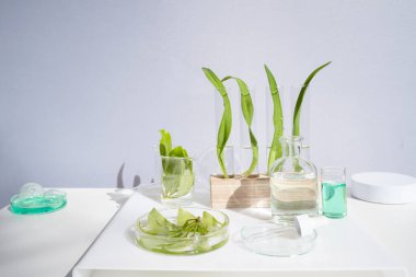 Bilim ve doğa konsepti, test tüplü yeşil laboratuvar.