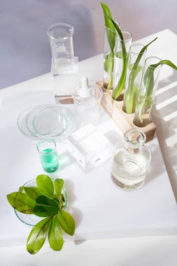 Bilim ve doğa konsepti, test tüplü yeşil laboratuvar.