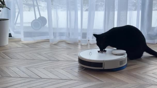 Beyaz Modern Robot Elektrikli Süpürgesi Olan Kedi Evin Içinde Yerde — Stok video
