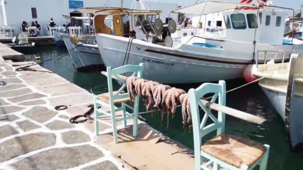 Свежие Осьминоги Типичное Блюдо Острова Парос Греция — стоковое видео