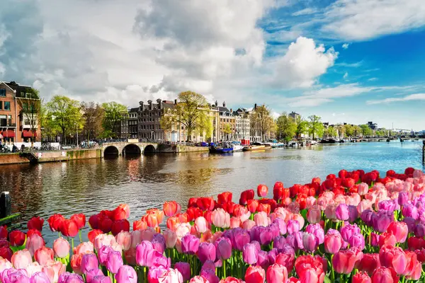 Damm Des Amstelkanals Mit Quelltulpen Amsterdam Niederlande — Stockfoto