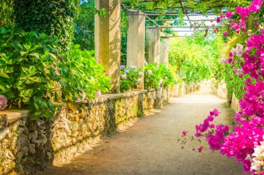 İtalya 'nın Amalfi kıyısındaki Ravello köyünde çiçeklerle dolu bir park galerisi