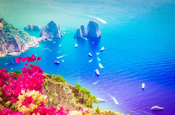 Ünlü Faraglioni Kayalıkları ve Tiren Denizi çiçeklerle, Capri Adası, İtalya
