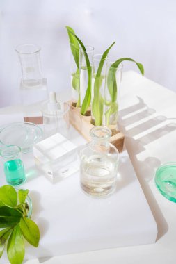 Bilim ve doğa konsepti, test tüplü yeşil laboratuvar.