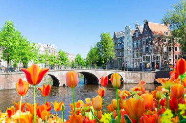 Hollanda, Holand 'daki eski Avrupa Citye' de, Amsterdam 'ın tarihi kanalları üzerinde tarihi evler. Laleli Amsterdam bahar manzarası